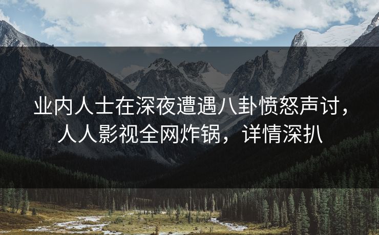 业内人士在深夜遭遇八卦愤怒声讨，人人影视全网炸锅，详情深扒