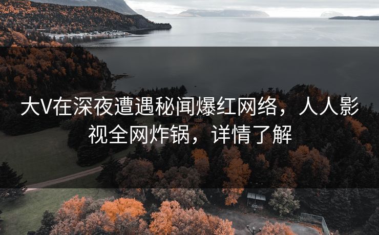 大V在深夜遭遇秘闻爆红网络，人人影视全网炸锅，详情了解