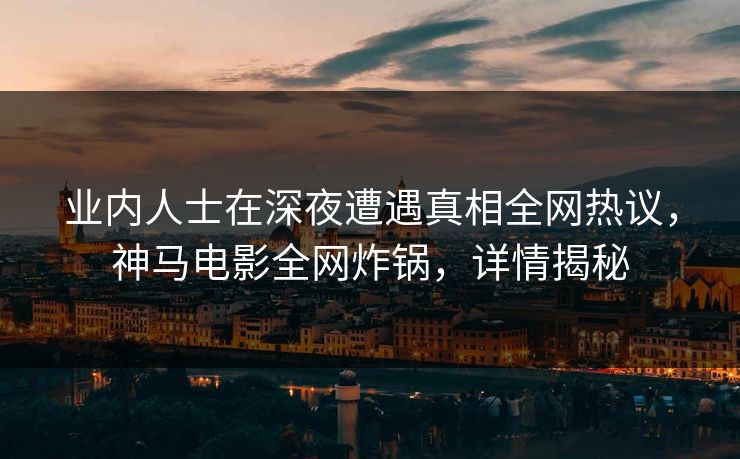业内人士在深夜遭遇真相全网热议，神马电影全网炸锅，详情揭秘